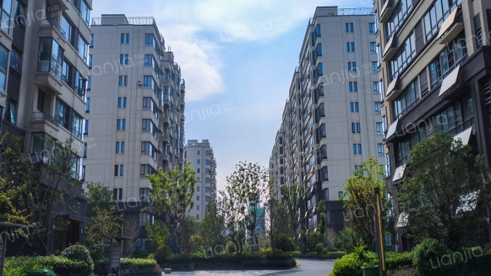 文一锦门桃李外景图