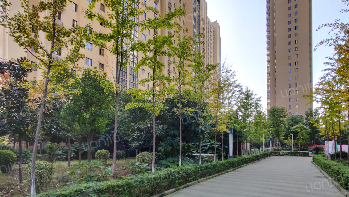 天慧国际外景图