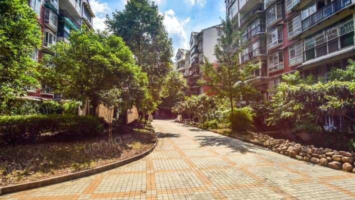 凤来仪一期外景图