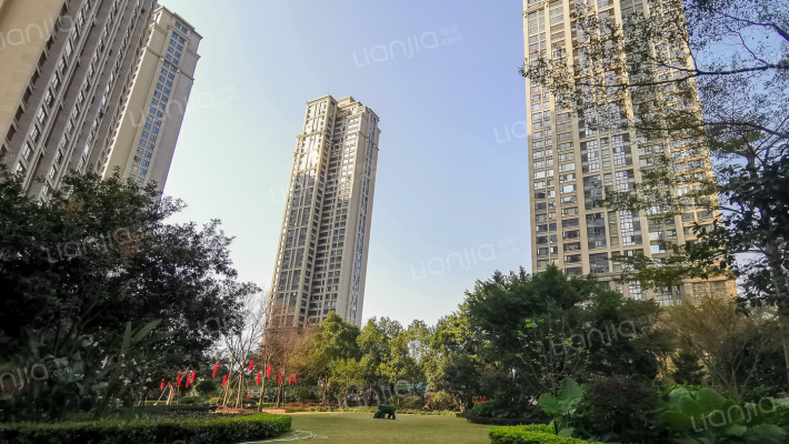 融侨外滩C区外景图