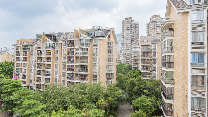 金山桔园和园外景图