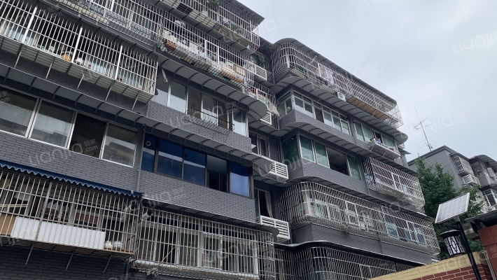 蓓蕾东巷5号外景图