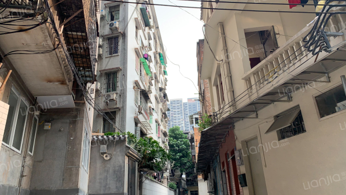 仰忠街11号大院外景图