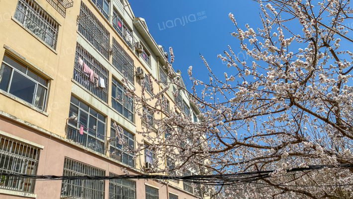 新珠花苑外景图
