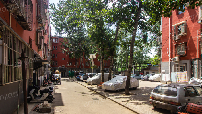 苗圃西里外景图