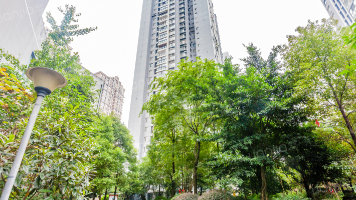 金剑滨河印象外景图