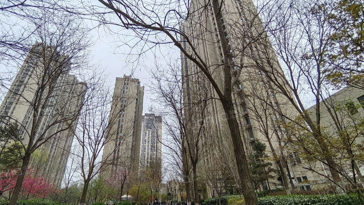 众美凤凰绿都一期外景图