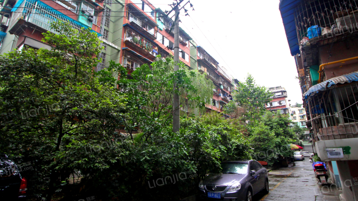 双楠三区外景图