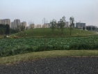 正弘中央公园实景图