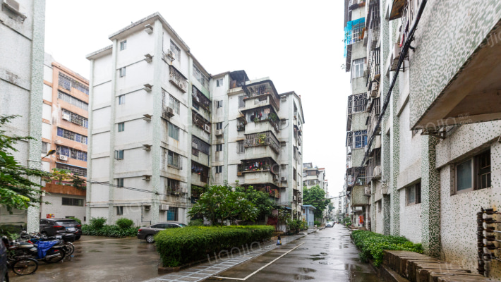 荷景一区外景图