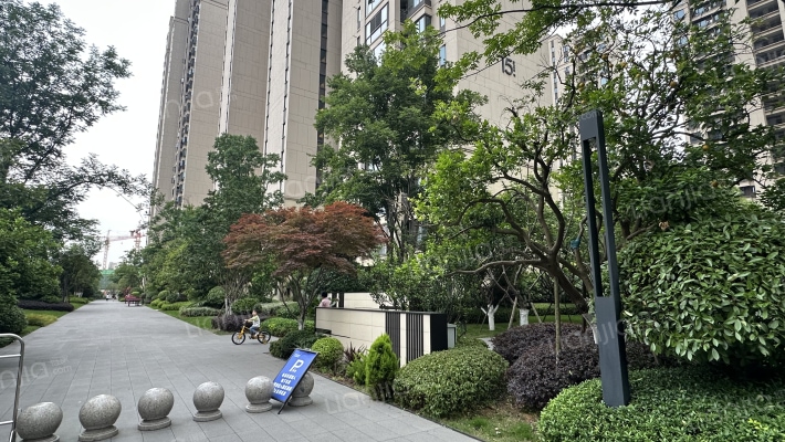 龙湖春江天玺外景图