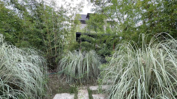 金科半岛壹号莫奈岛外景图