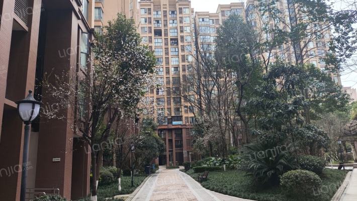 隆腾世纪朗域外景图