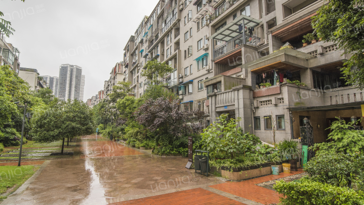 半山七号外景图