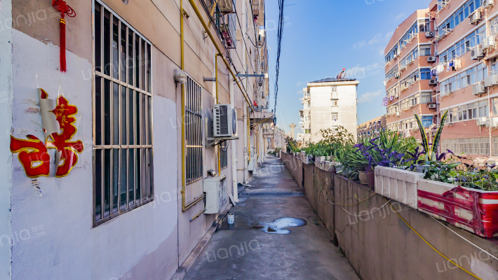 新亭路160号外景图