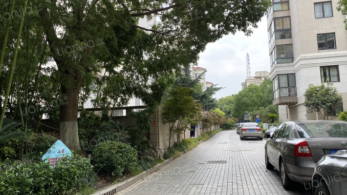 金领华庭外景图