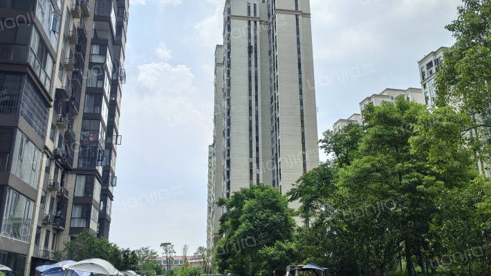 吉星家园外景图