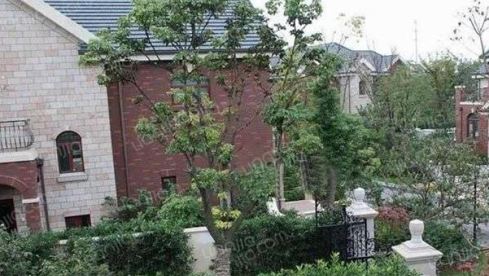 南郊别墅(别墅)外景图