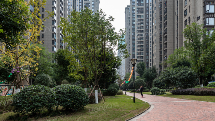 保利观澜一期外景图