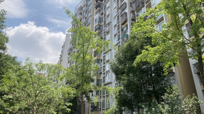 龙翔人家外景图