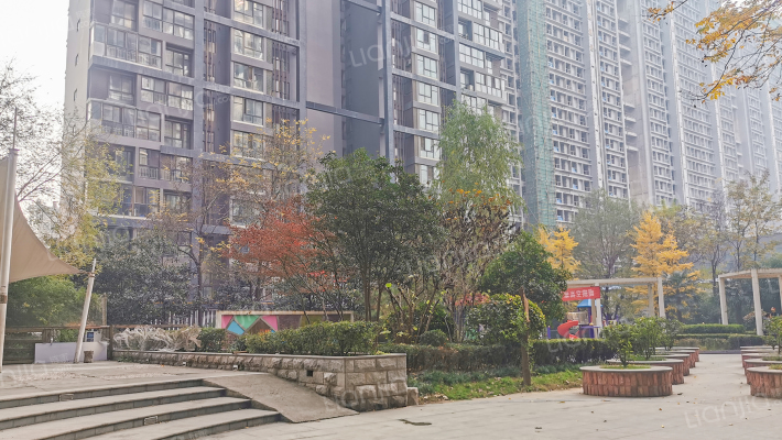 榕青无界外景图