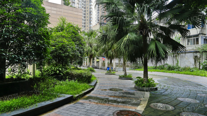 城市博客VC时代外景图