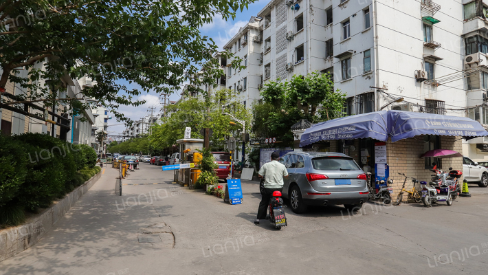 真如西村外景图