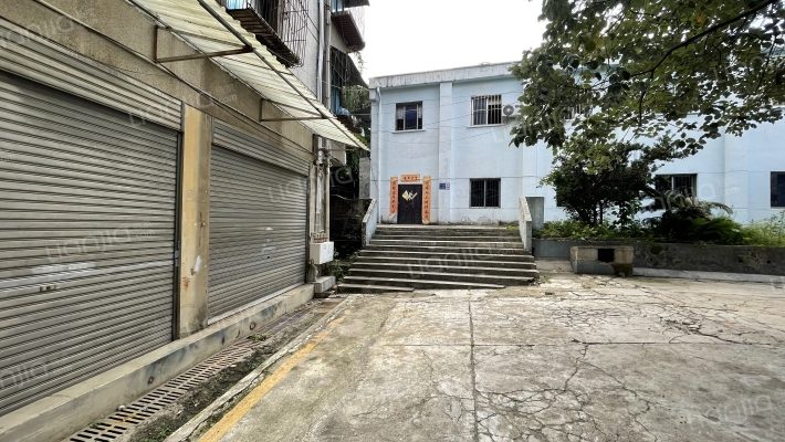 沙冲南路8号外景图