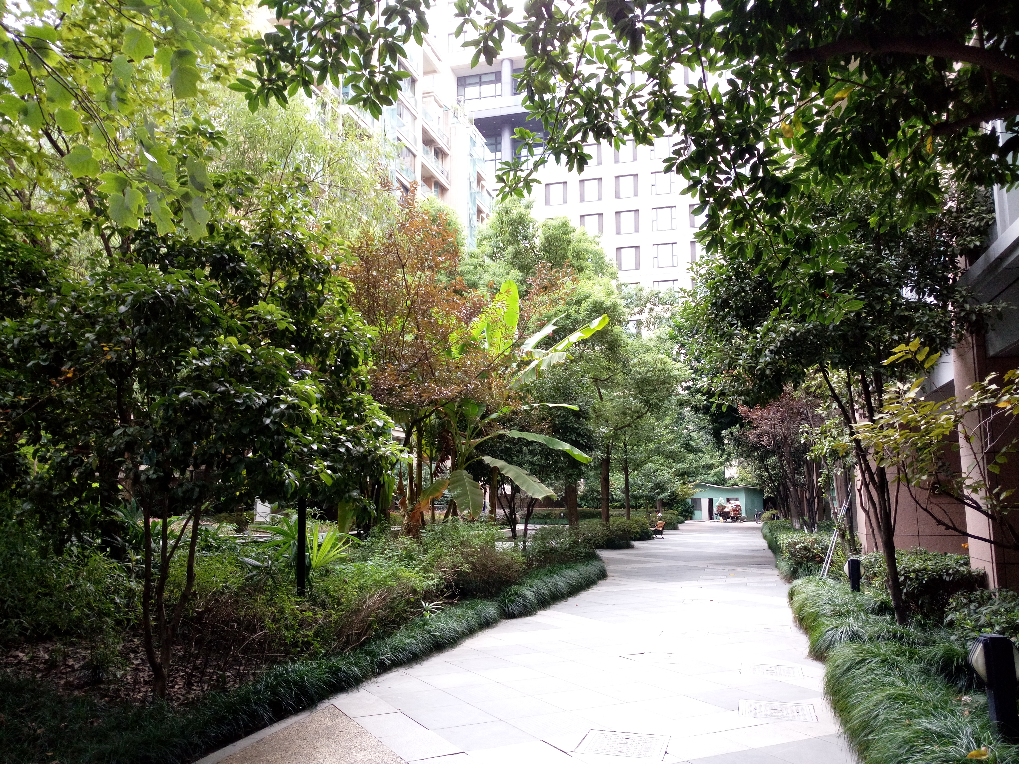 黄龙雅苑小区实景 20