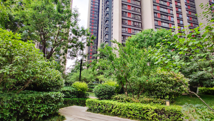 白桦林明天南区外景图