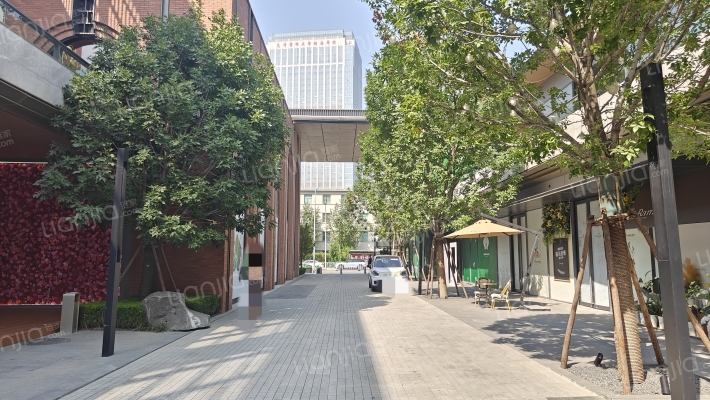 体北金茂府外景图