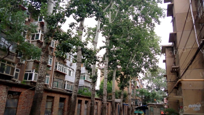 无影山新村六区外景图