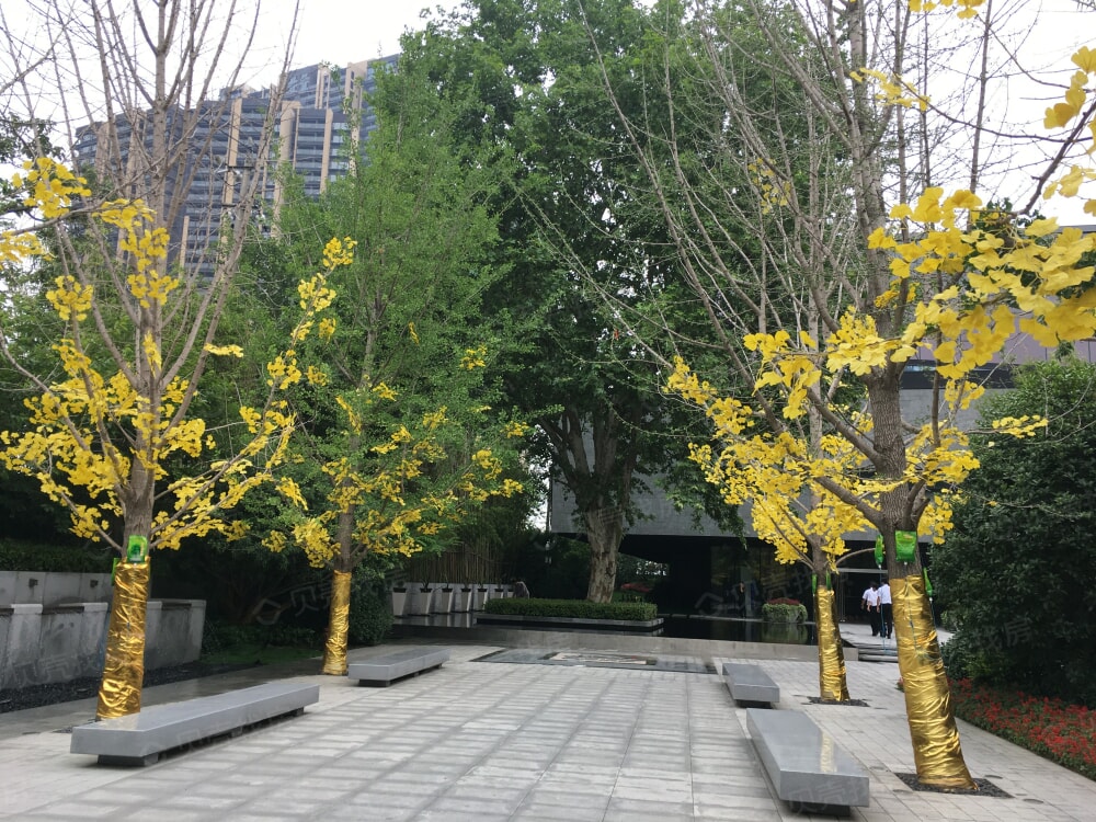 中冶盛世滨江相册