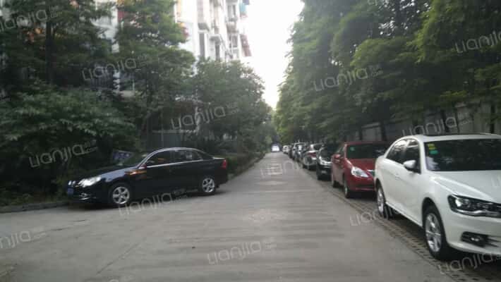 丽日樱花外景图