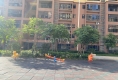 金威郦都户型图实景图