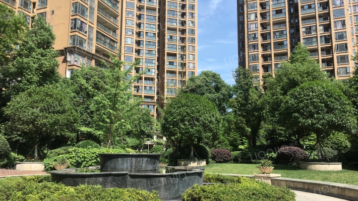 星光大道B区外景图