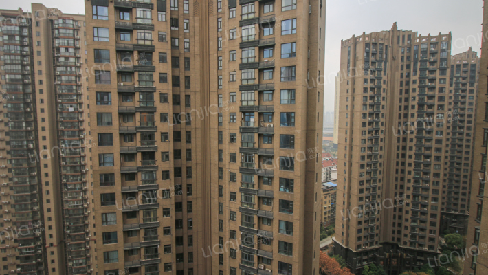 大华铂金华府外景图