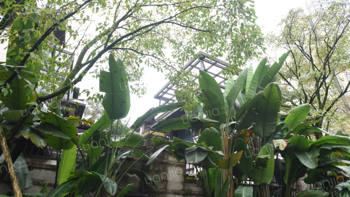 万科颐府外景图