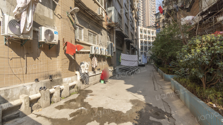 金色未来外景图