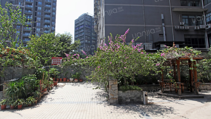 围城国际外景图