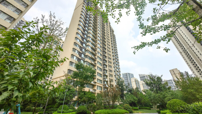 万科山望一期外景图