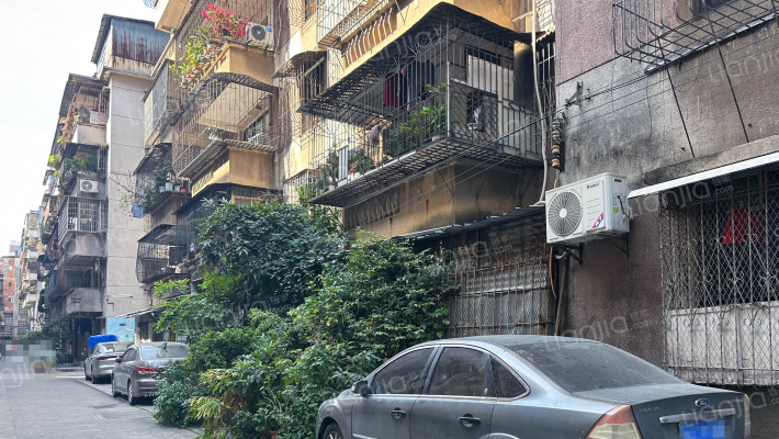 文锋中路七巷外景图