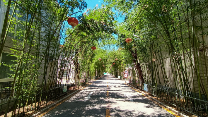 龙脉温泉外景图