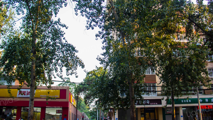 范西路邮专宿舍外景图