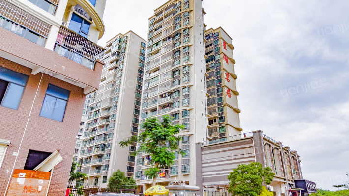 星湖茗居外景图