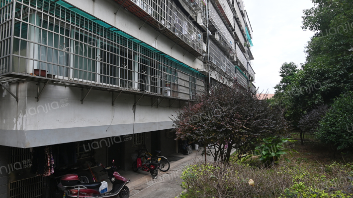 科大景园C外景图