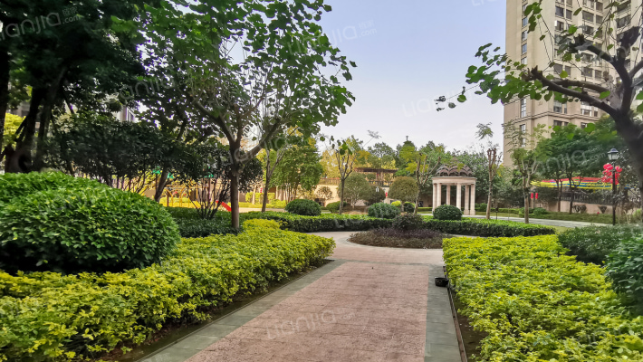 融侨外滩D区外景图