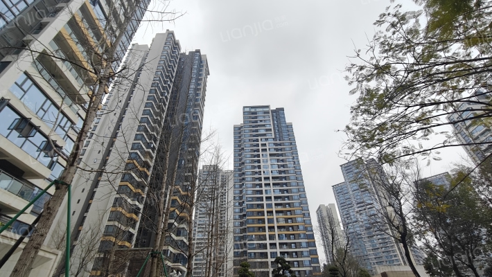 秦皇帝锦外景图