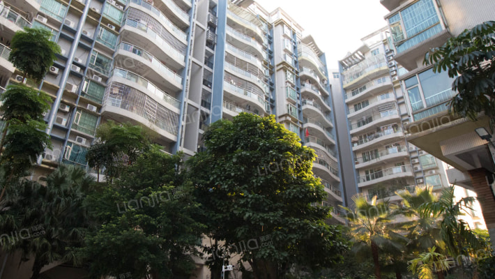 金狮华庭外景图