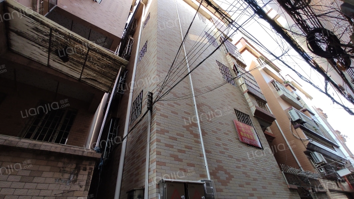 莲塘路（乐从）外景图